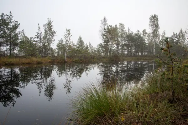 Herfst lake met reflecties van bomen — Stockfoto