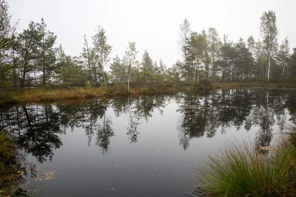 Herfst lake met reflecties van bomen — Stockfoto