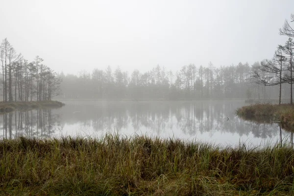 Lago autunnale con riflessi di alberi — Foto Stock