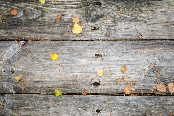 Alte Holzbohlen mit Blättern bedeckt — Stockfoto