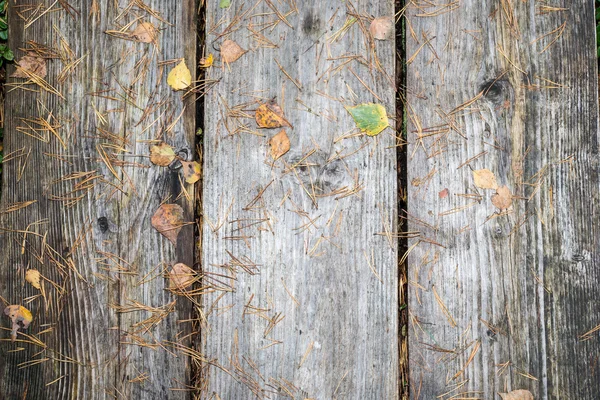 Oude houten planken bedekt met bladeren — Stockfoto