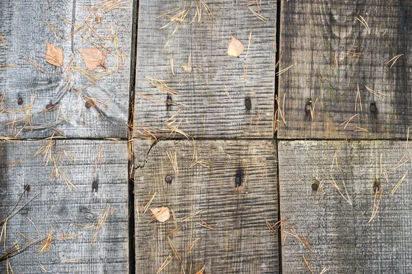 Tablones de madera viejos cubiertos con hojas — Foto de Stock