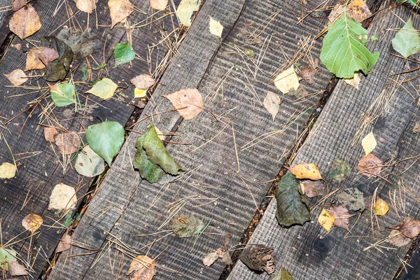 Деревянные доски, покрытые листьями — стоковое фото