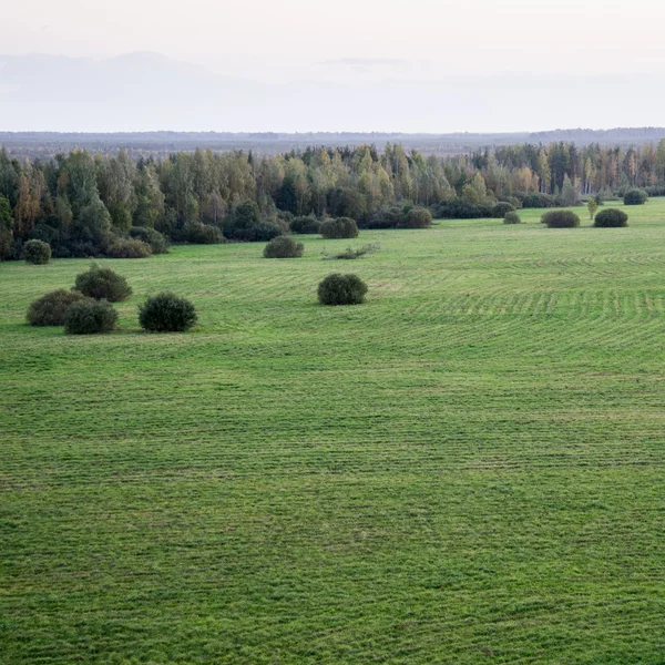 Zelená pole letecký pohled od rozhledna — Stock fotografie