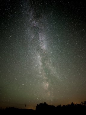 Samanyolu ve bazı ağaçlar.