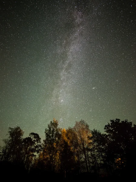 La Vía Láctea y algunos árboles. — Foto de Stock