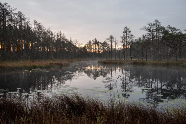 Reflecties in de meerwater — Stockfoto