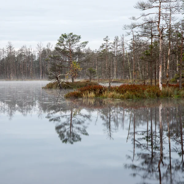 Reflecties in de meerwater — Stockfoto