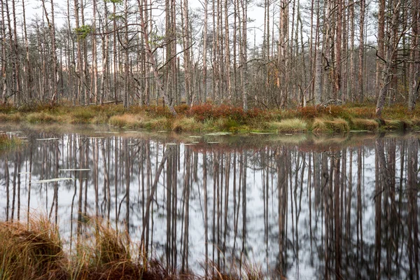 Reflecties in de meerwater — Stockfoto