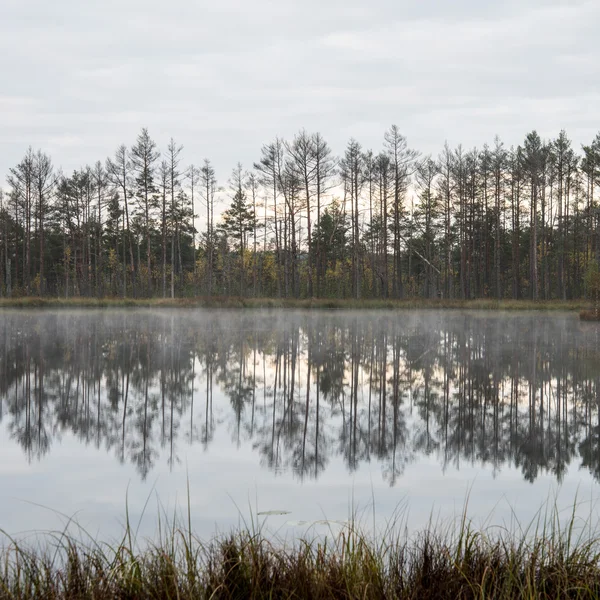 Reflecties in de meerwater — Stockfoto