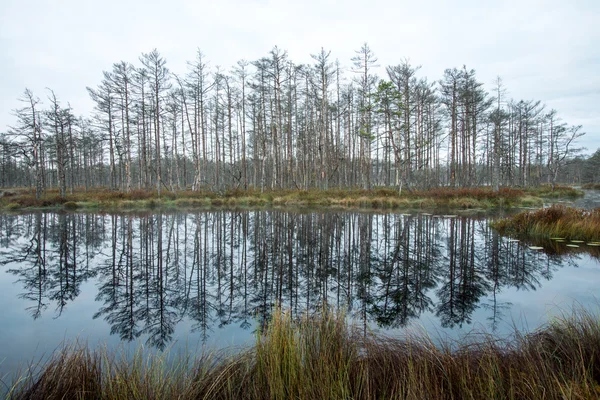 Reflecties in de meerwater — Stockfoto
