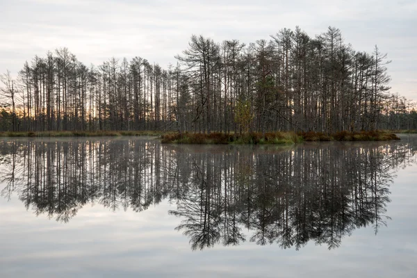 Reflecties in de meerwater — Stockfoto