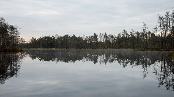 Відображення в воді озера — стокове фото