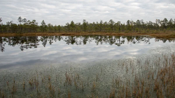 Reflecties in de meerwater — Stockfoto