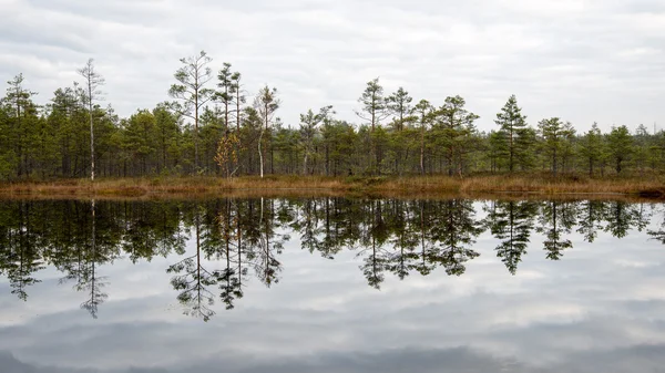 Reflecties in de meerwater — Stockfoto