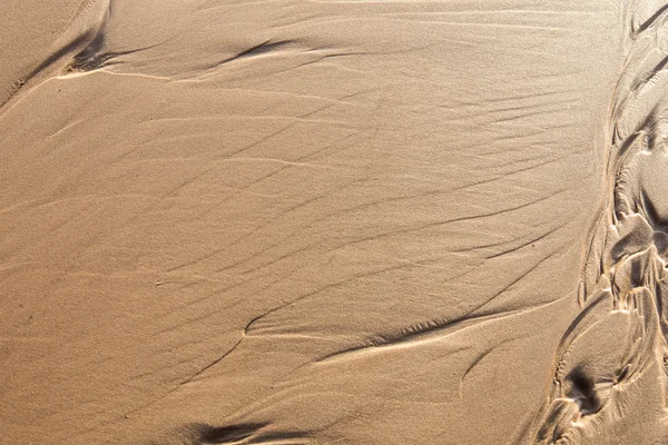 Textura de arena húmeda — Foto de Stock