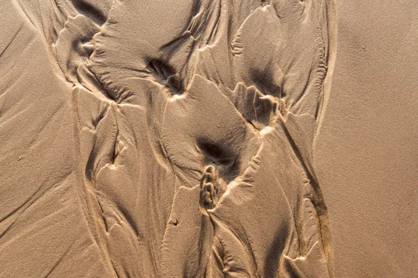 Mokrý písek textury — Stock fotografie