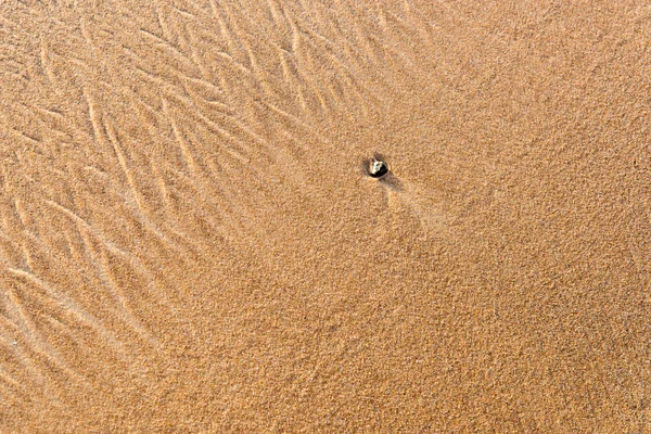 Textura de areia húmida — Fotografia de Stock