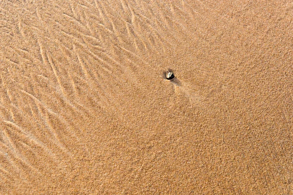 Wet sand texture — Stock Photo, Image