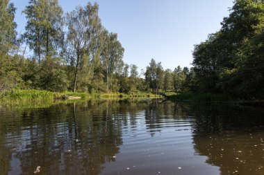 Güzel nehir manzarası