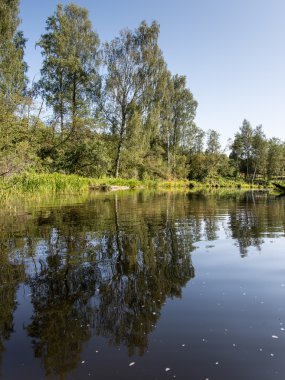 Güzel nehir manzarası