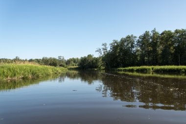 Güzel nehir manzarası
