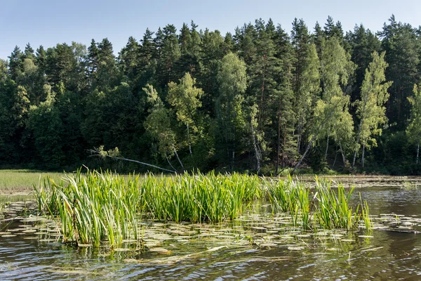 Picturesque river view