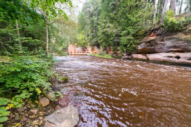 Dağ nehir Flowing su akışı ve kumtaşı kayalıklarla ile