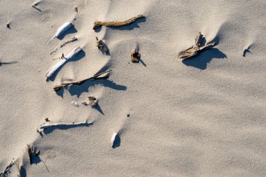 Rafine edilmemiş, nemli ve grenli doğal golde bir arka plan dokusu