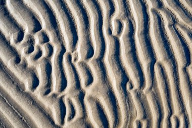 Rafine edilmemiş, nemli ve grenli doğal golde bir arka plan dokusu