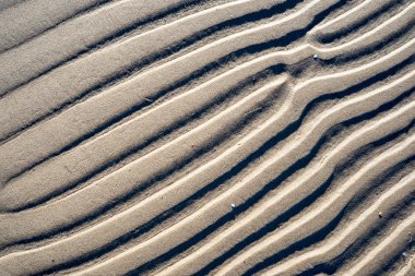 Rafine edilmemiş, nemli ve grenli doğal golde bir arka plan dokusu