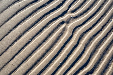 Rafine edilmemiş, nemli ve grenli doğal golde bir arka plan dokusu