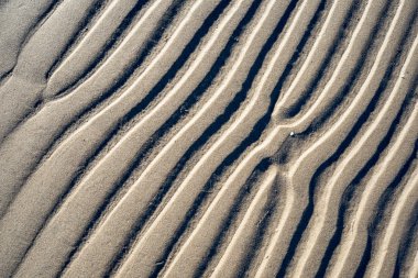 Rafine edilmemiş, nemli ve grenli doğal golde bir arka plan dokusu
