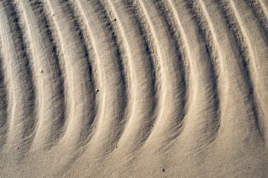 Rafine edilmemiş, nemli ve grenli doğal golde bir arka plan dokusu