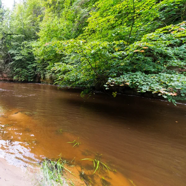 Berg rivier met Flowing Water stroom en zandstenen klippen — Stockfoto