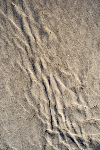 Uma textura de fundo de ouro natural não refinado, úmido e granulado — Fotografia de Stock