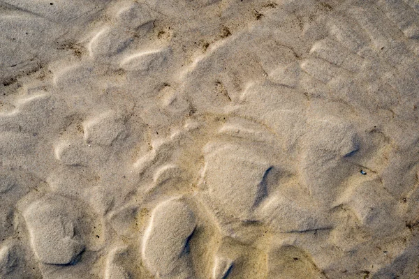 Uma textura de fundo de ouro natural não refinado, úmido e granulado — Fotografia de Stock