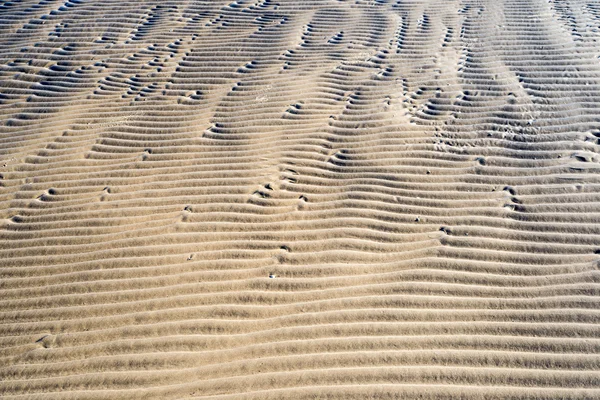 Uma textura de fundo de ouro natural não refinado, úmido e granulado — Fotografia de Stock