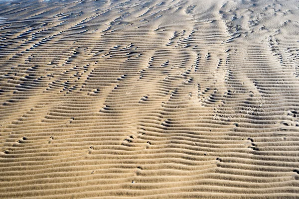 Une texture de fond d'or naturel non raffiné, humide et granuleux — Photo