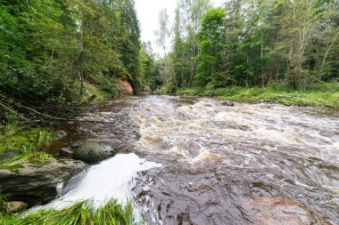 Dağ nehre Flowing su akışı ve sandsto ile göster