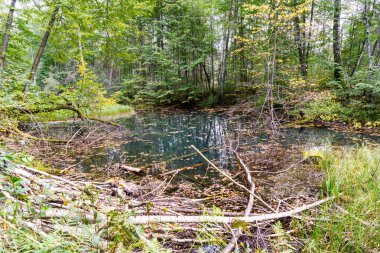 kumtaşı kayalıklarla yazıtlı