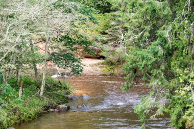 Dağ nehre Flowing su akışı ve sandsto ile göster