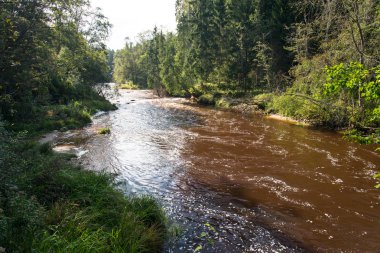 Dağ nehre Flowing su akışı ve sandsto ile göster