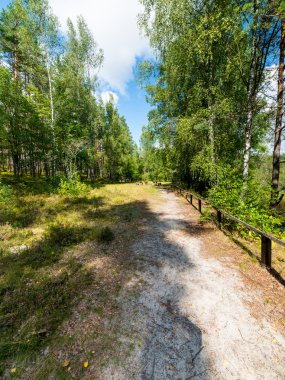 doğal ve güzel turizm iz Nehri yakınında ormanda 