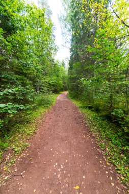 doğal ve güzel turizm iz Nehri yakınında ormanda 