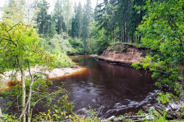 Dağ nehre Flowing su akışı ve sandsto ile göster