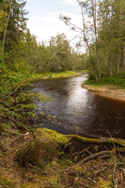 Dağ nehre Flowing su akışı ve sandsto ile göster