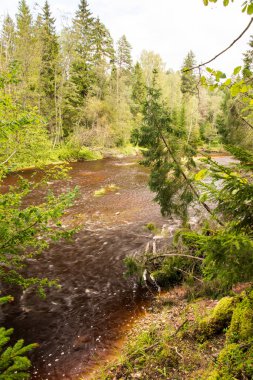Dağ nehre Flowing su akışı ve sandsto ile göster