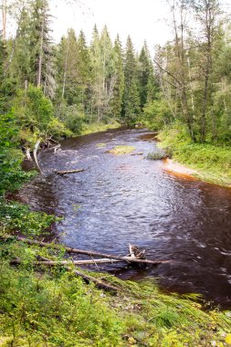 Dağ nehre Flowing su akışı ve sandsto ile göster