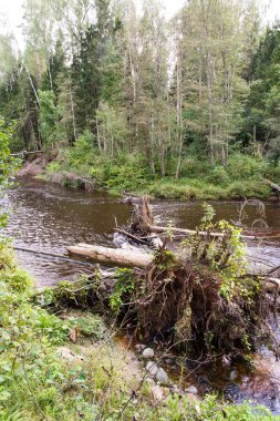 Dağ nehre Flowing su akışı ve sandsto ile göster